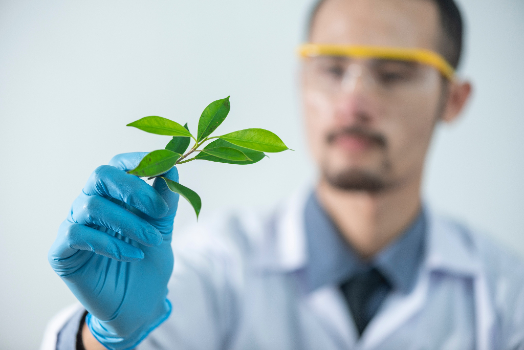 Experimentation Leads to Success
