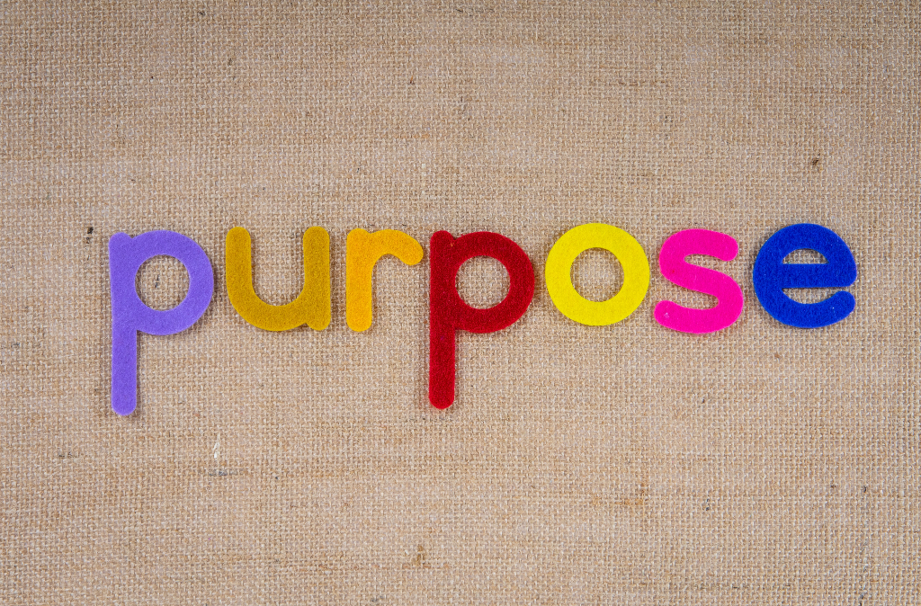 Finding Meaning and Purpose: My Vision and Mission in Life