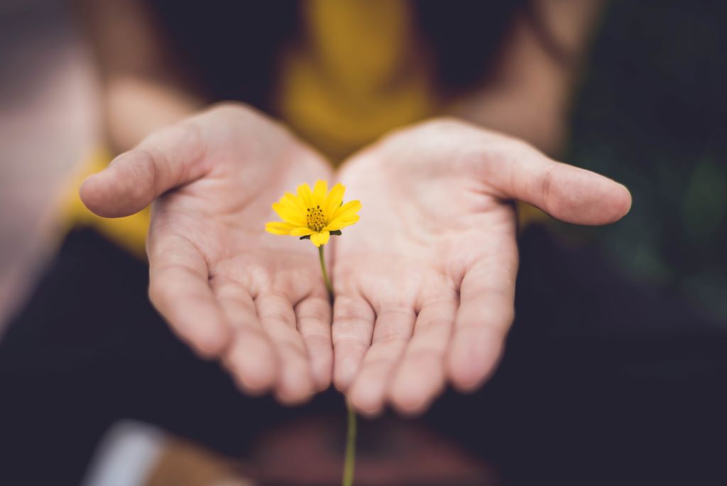 A Difference with Small Actions